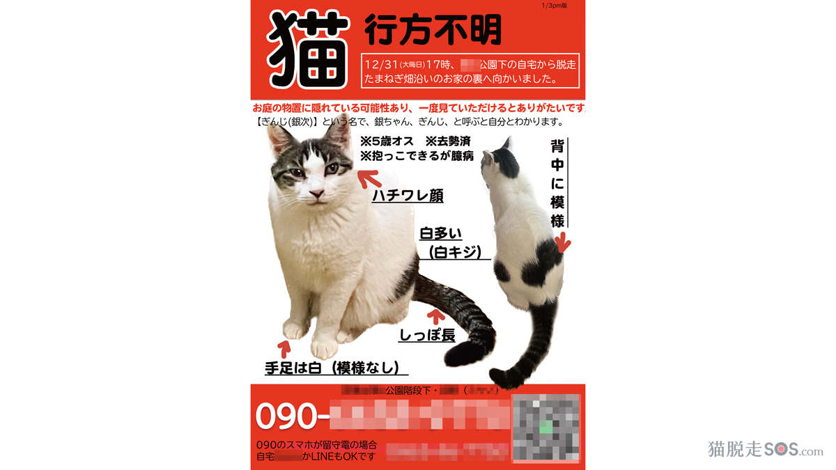 猫脱走SOS.com