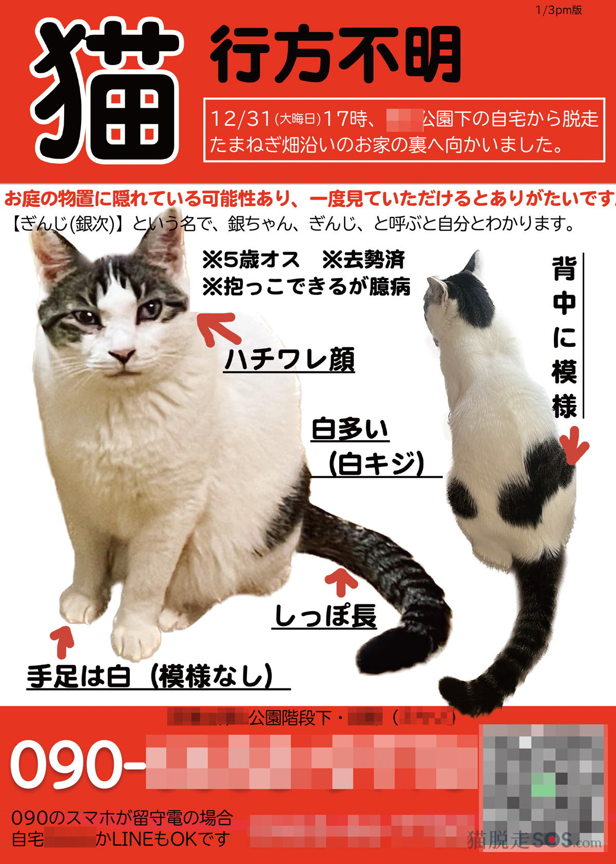 猫脱走SOS.com