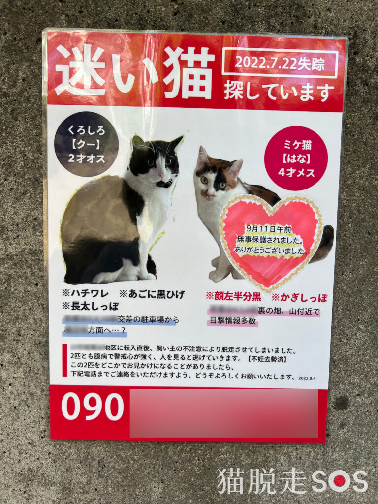 迷い 猫 ショップ ポスター 電柱